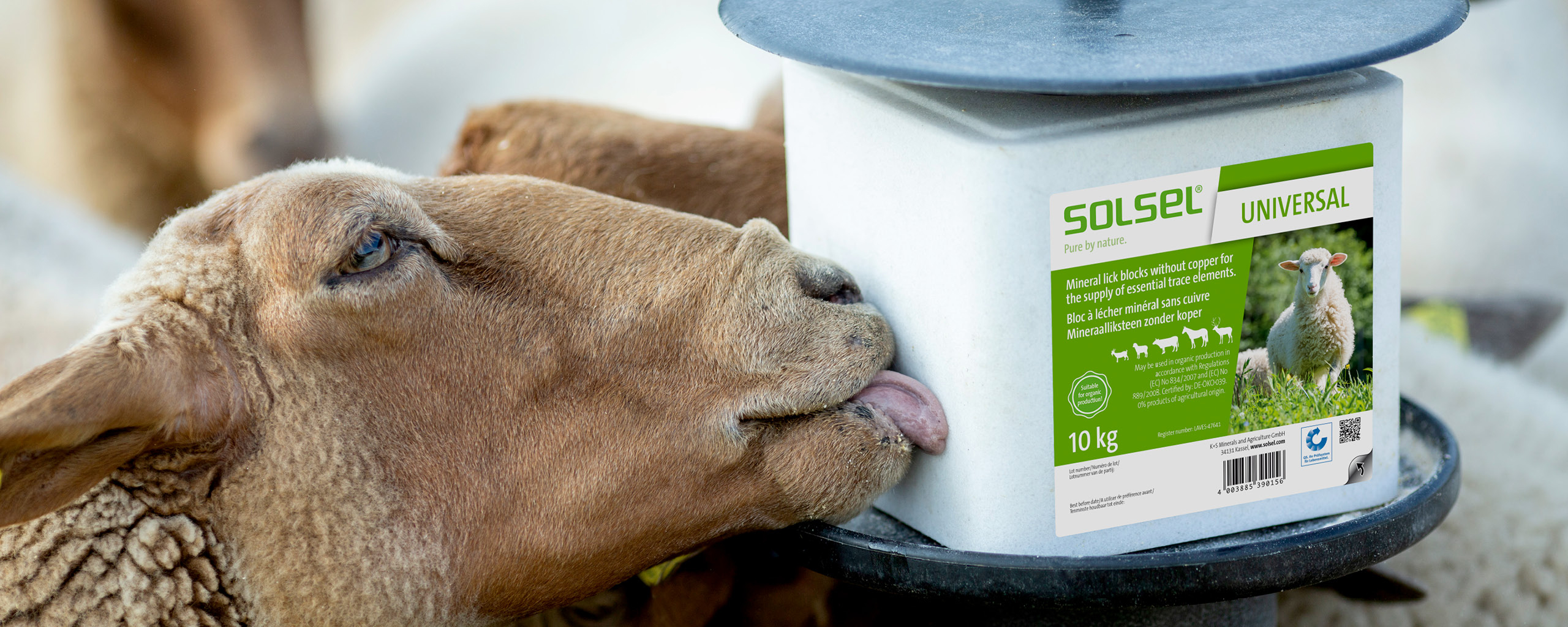 Applications SOLSEL Universal Sheep lick the SOLSEL universal lick stone